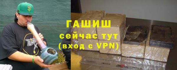 метадон Богданович