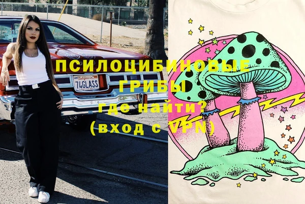 марки lsd Богородицк