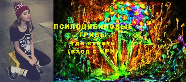 метадон Богданович