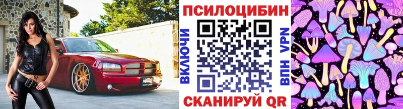 Галлюциногенные грибы Psilocybine cubensis  магазин продажи наркотиков  Володарск 